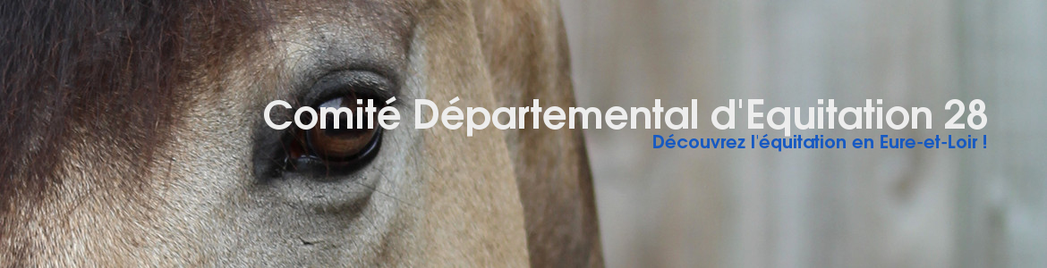 Comité Départemental d'Equitation 28